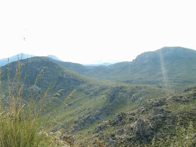 DSCF0057.JPG